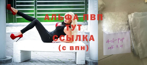 СК Калининец