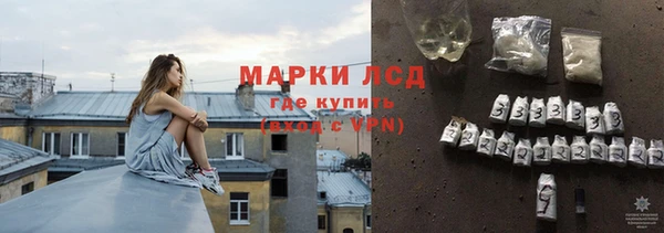 СК Калининец
