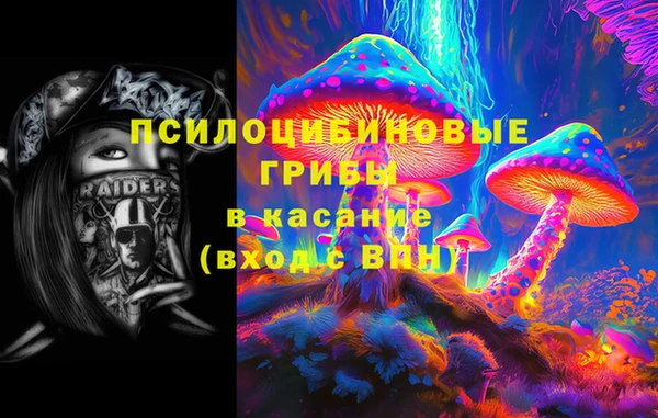 стафф Зерноград