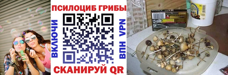 наркошоп  Бабаево  Галлюциногенные грибы Magic Shrooms 