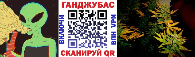 купить  сайты  Бабаево  Канабис MAZAR 