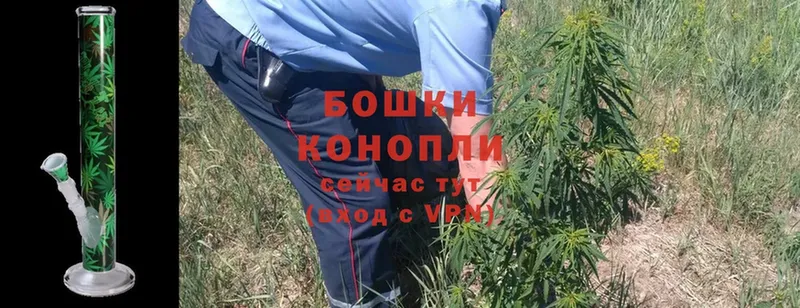 Бошки Шишки OG Kush  Бабаево 